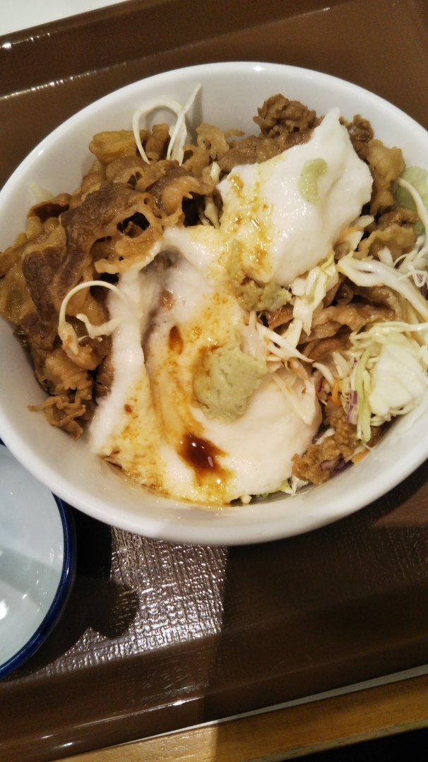 すき家_f0076001_22511420.jpg