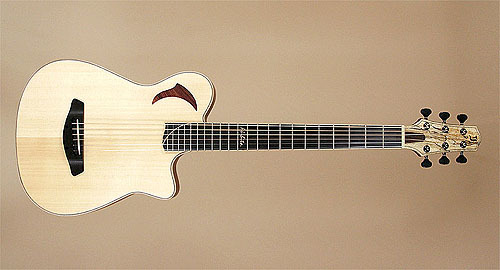 気になるフェンダー「American Acoustasonic Telecaster」_c0137404_17291292.jpg
