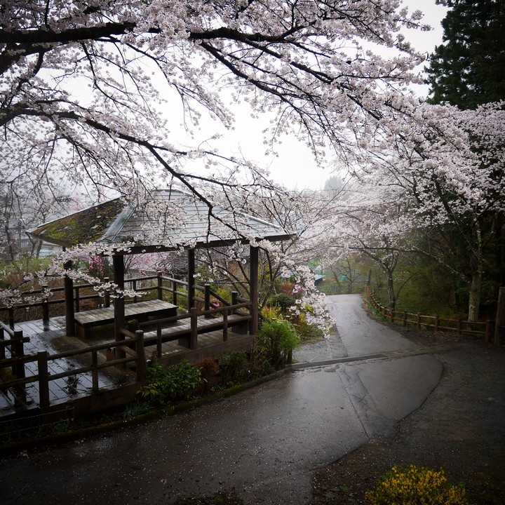 雨は降りしく_a0268412_22535035.jpg