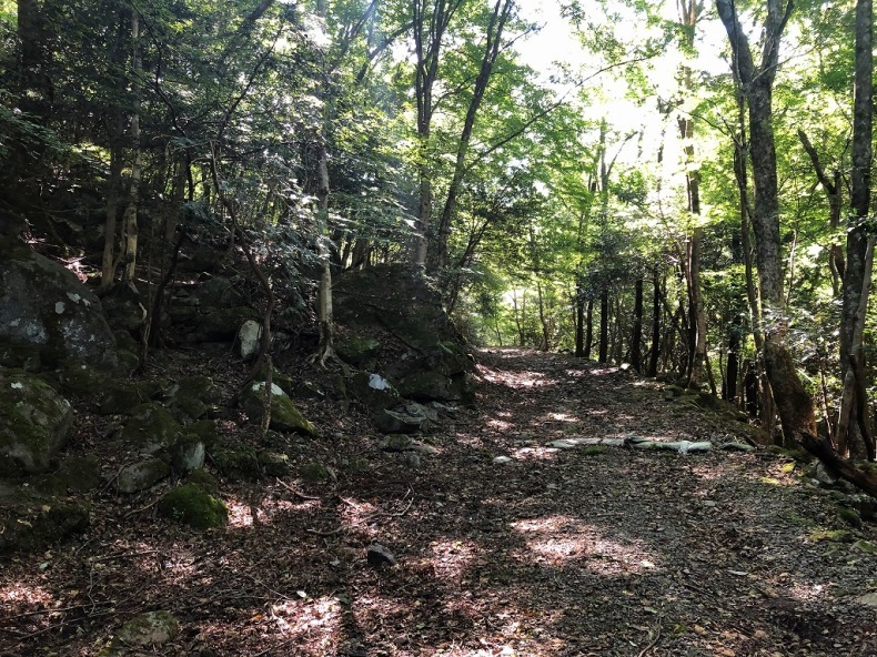 九州百名山３.４    犬ヶ岳　求菩提山_f0174419_15081342.jpg