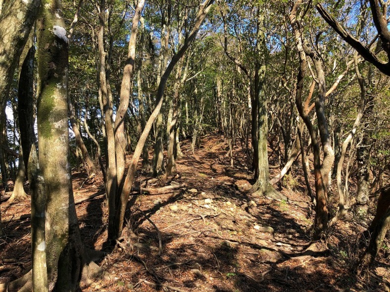 九州百名山３.４    犬ヶ岳　求菩提山_f0174419_15242875.jpg