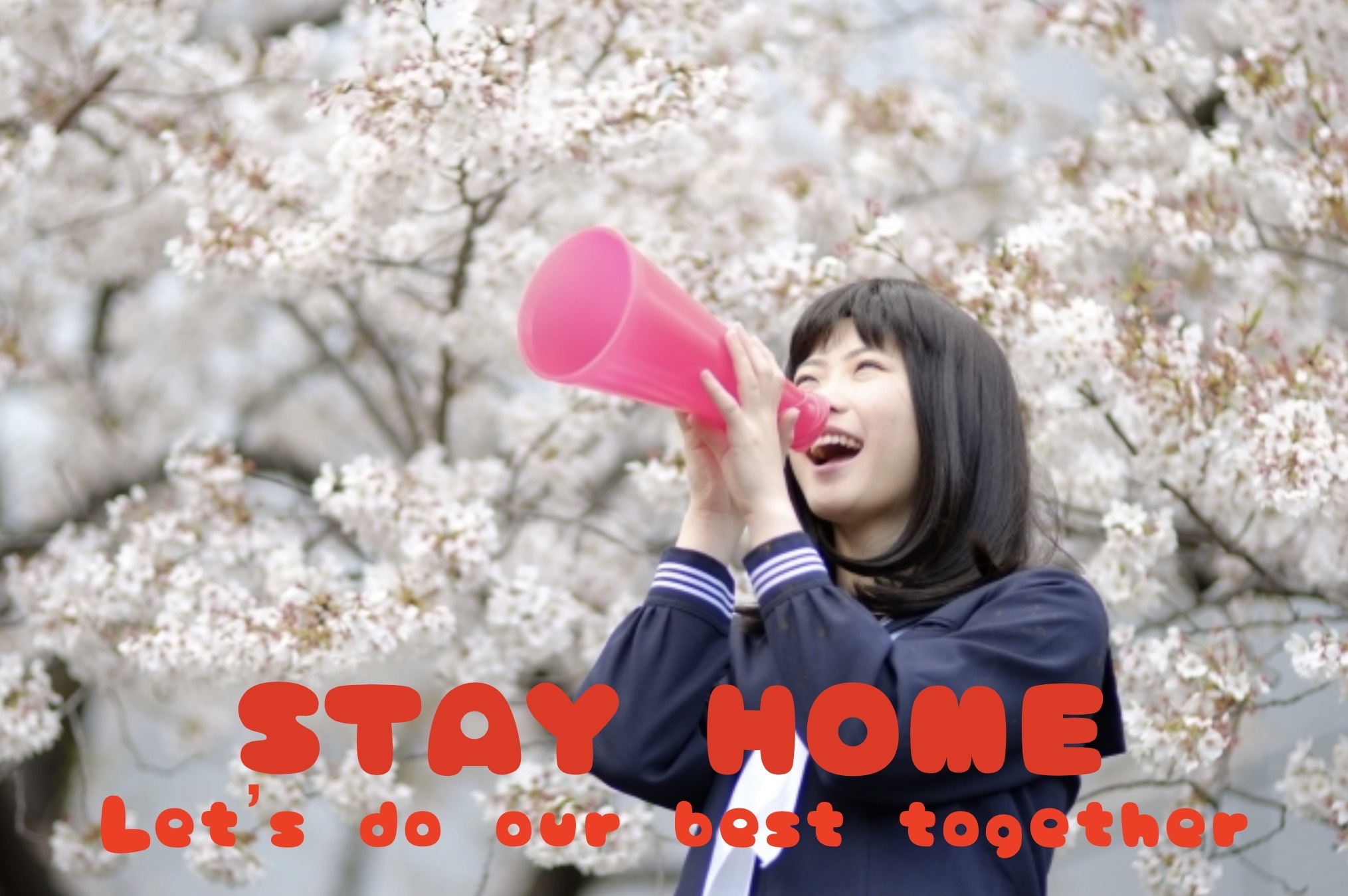 STAY HOME_c0400420_16182884.jpeg