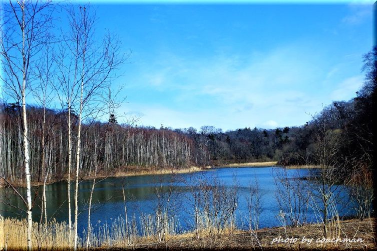 瑞穂の池 野幌森林公園 北海道photo一撮り旅 瑞穂の池 野幌森林公園 北海道photo一撮り旅