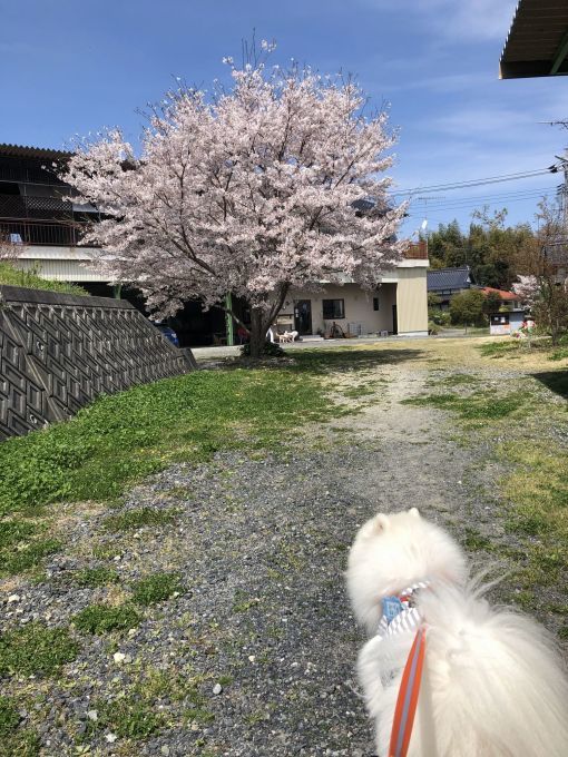 お友だちのお家でプチオフ_f0128542_01351287.jpg