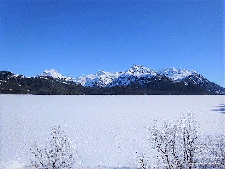 残雪 凍った道_d0356844_12424749.jpg