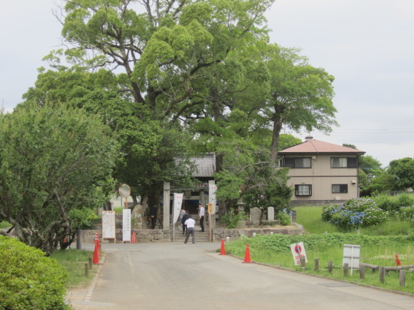 天平二年正月十三日、大伴旅人は帥宅に梅花の歌の宴を設けた・家持十三歳_a0237545_21502531.jpg