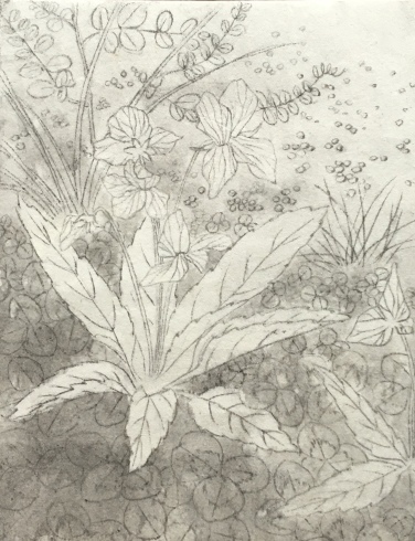 骨描きと墨入れ。 : 『一日一畫』 日本画家池上紘子