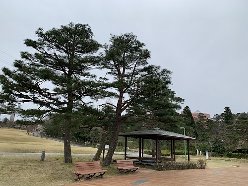 広い公園へ　（散歩）_c0327752_11073218.jpg