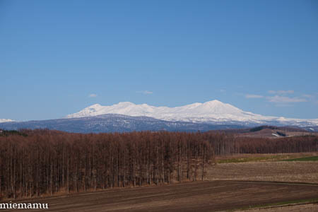 雪の山並み~4月の就実の丘_d0340565_19560130.jpg