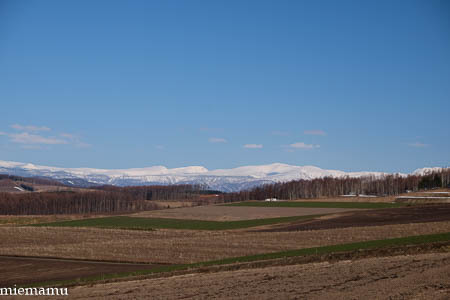 雪の山並み~4月の就実の丘_d0340565_19561519.jpg