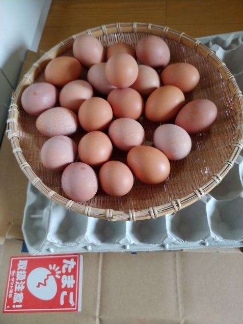 新タマゴ_c0162773_10274034.jpg