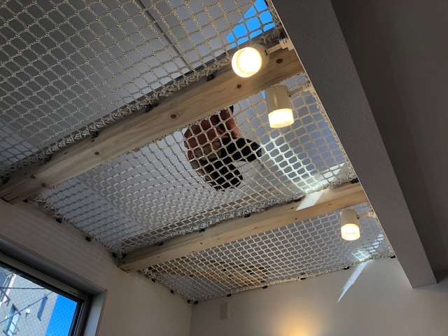 拘り3_d0178586_08582823.jpg