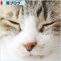 猫だんご_a0389088_10451449.jpg