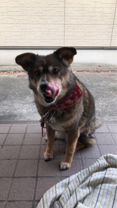 changの今後の対策は…(^^)_d0132688_13191882.jpg
