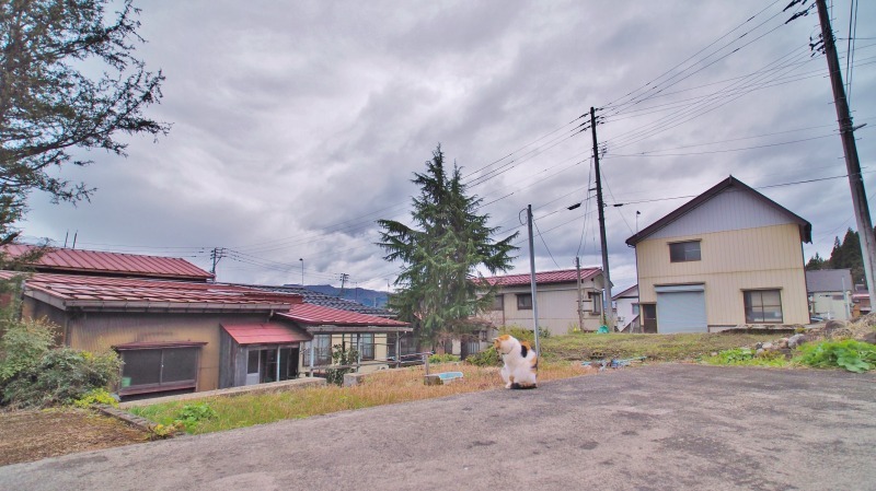 昨日は「お花見散歩」へ_c0336902_20540039.jpg