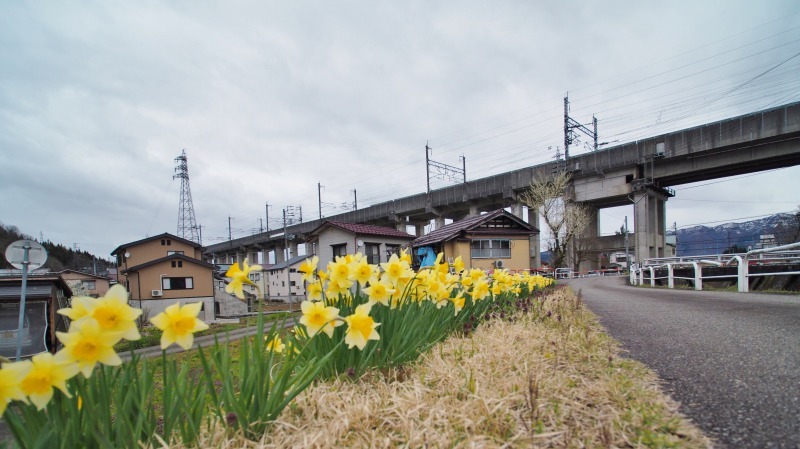 昨日は「お花見散歩」へ_c0336902_20542952.jpg