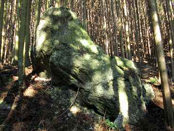 鍋倉山と岐阜のマチュピチュ_b0353715_10251541.jpg