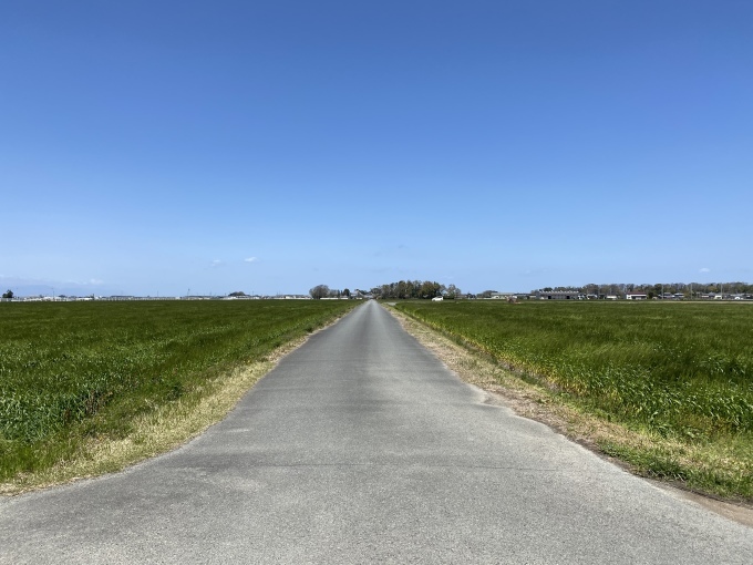 田んぼ道 Home Style 田んぼ道 Home Style