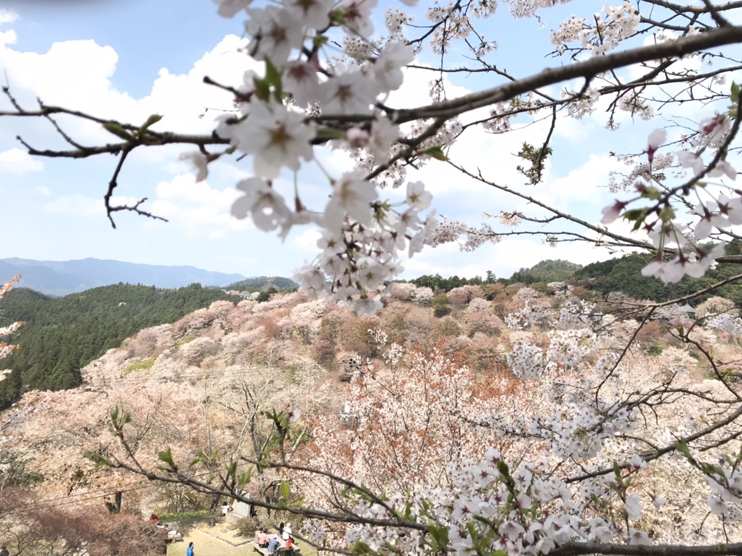 新型コロナウィルスに対する湯川屋の姿勢について<by 若旦那>_e0154524_08124048.jpg