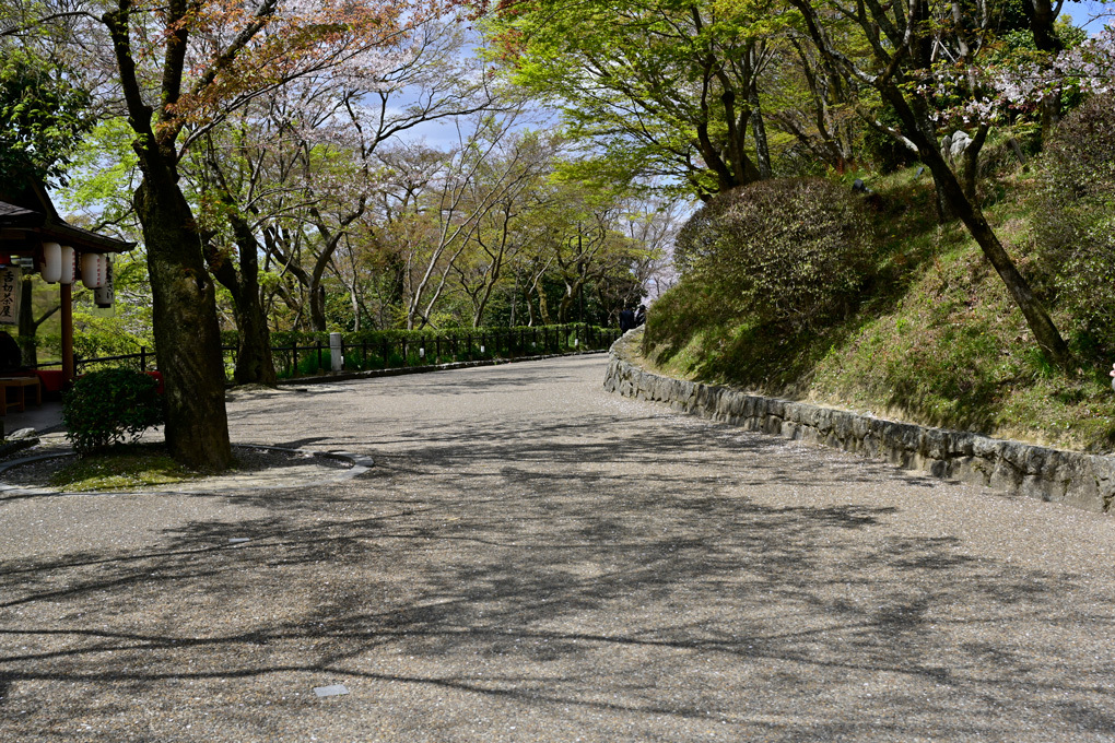 ”美”合気道「美と美」「美と美と美」「美と美と美と美と美」「美人美人」「自然の美と美」_f0033831_08462385.jpg