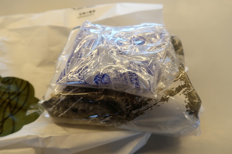 晩秋の様な光と秀逸な五代目レガシィアウトアック_f0076731_20002831.jpg
