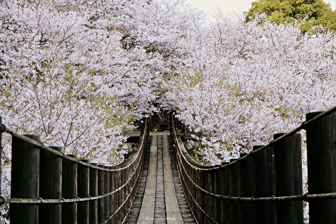 琴海中央公園 A B C 琴海中央公園 A B C