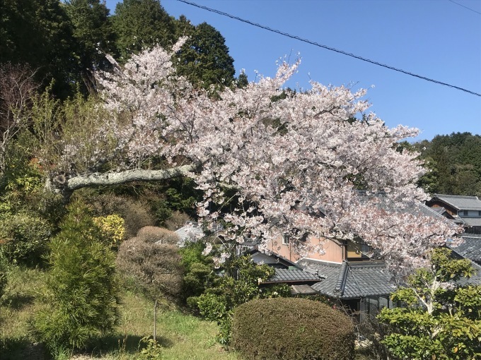 大原ダムから那須が原へ_b0100062_18013798.jpeg
