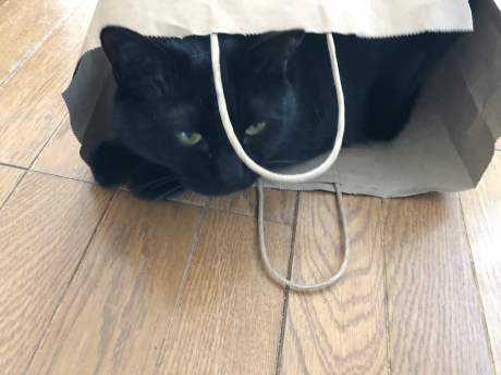 引き裂かれた紙袋_e0355177_17353632.jpg