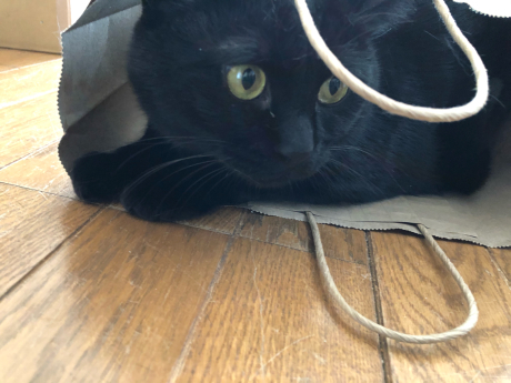 引き裂かれた紙袋_e0355177_17353720.jpg