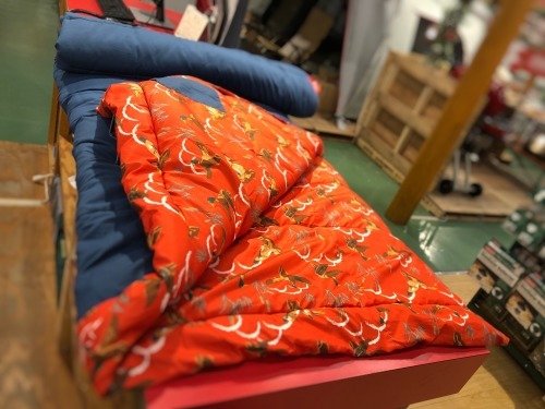 Coleman 入荷情報!!!_d0198793_11583935.jpg