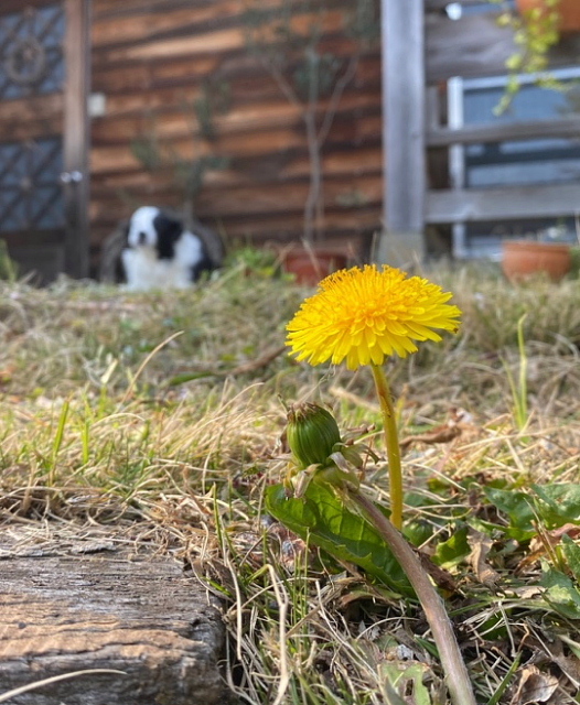 iPhone_e0145995_18224541.jpg