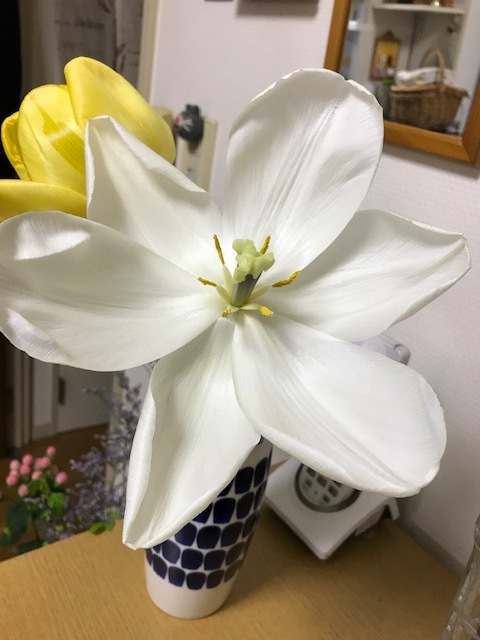 ベランダの花_f0204295_12590501.jpg