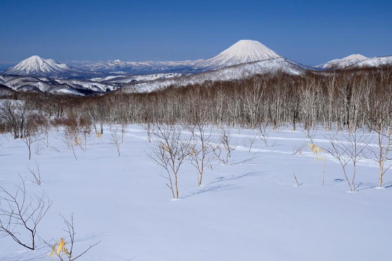 境岳～風来山～ポン山～庚申草山～東中山　　2020.4.13_f0200402_18270903.jpg