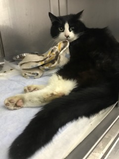 【犬猫・移動先募集】今は犬は2頭だけです(4/14訪問)_f0242002_17025858.jpg