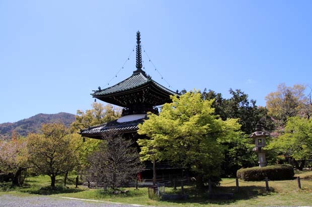 新緑がスタート　嵯峨釈迦堂清凉寺_e0048413_19495067.jpg