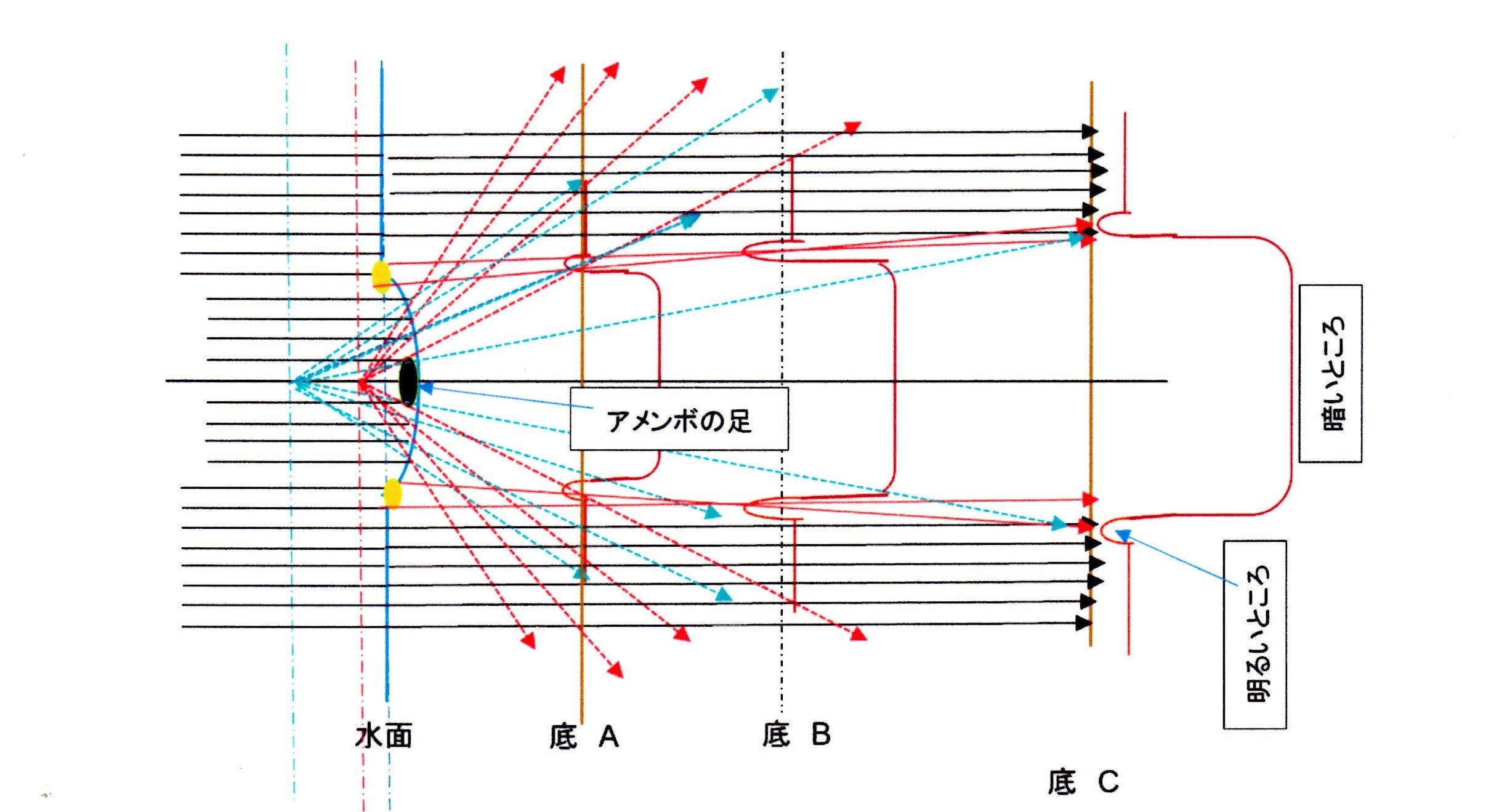 あめんぼ 赤いな アイウエオ 続き ぽつぽつ山レポ ときどき休み ところにより道草