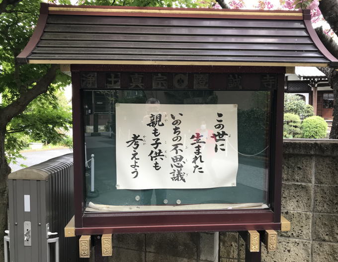 近所のお寺のありがたいおコトバ_d0027243_23461079.jpg