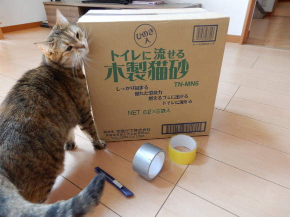 これ、何だかわかる?_c0259945_12591985.jpg