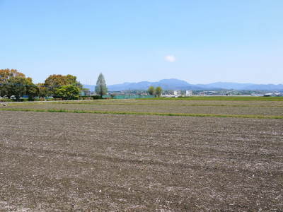 熊本の美味しいお米(七城米 長尾さんちのこだわりのお米)大好評発売中!とことん手をかけ育てたお米!_a0254656_18345320.jpg