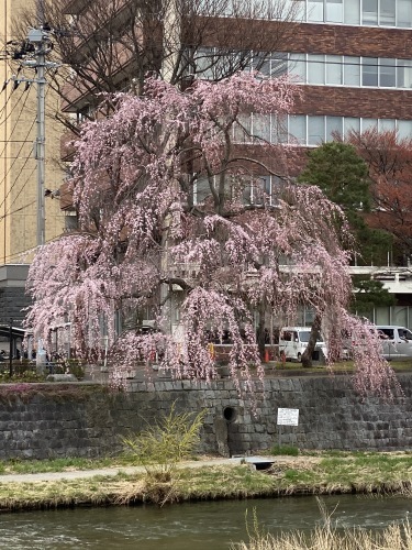 「いつものクラシックスタイルで」 ~Iwate仕立て~ 編_c0177259_21473723.jpeg