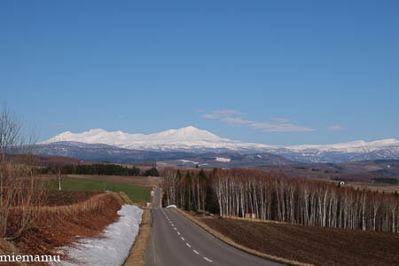 大雪連峰と…~4月の就実の丘_d0340565_20214206.jpg