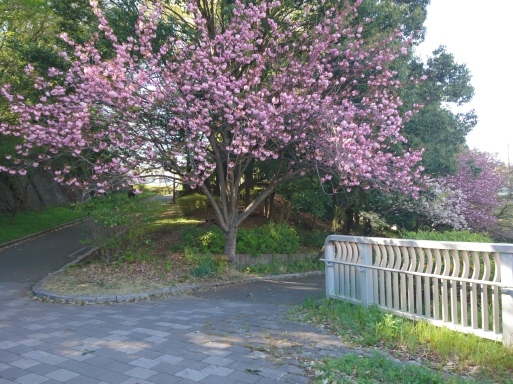 ８日目_f0197985_14234302.jpg