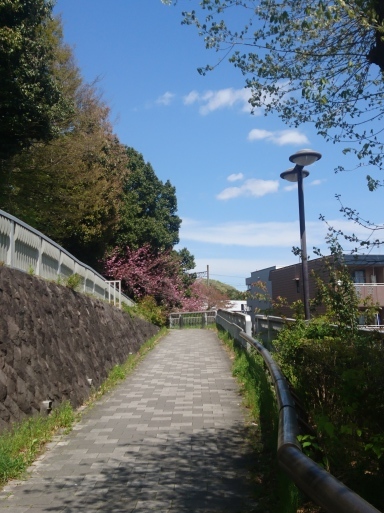 ８日目_f0197985_14251520.jpg