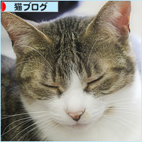 こころのあご_a0389088_08240132.jpg