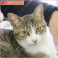 こころのあご_a0389088_08240157.jpg