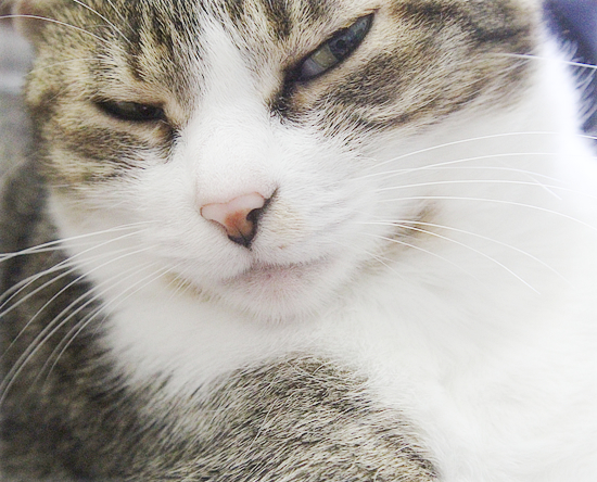 こころのあご_a0389088_08240228.jpg