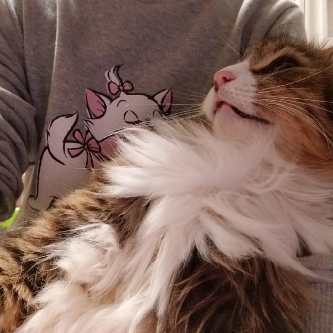ソーシャルディスタンス_c0369492_17043189.jpg