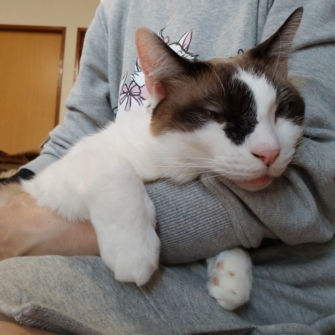 ソーシャルディスタンス_c0369492_17061143.jpg