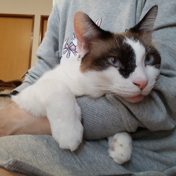 ソーシャルディスタンス_c0369492_17065793.jpg