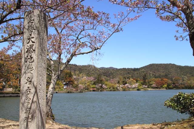 大沢の池　大覚寺_e0048413_20585016.jpg